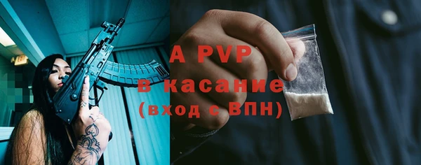 индика Нефтекумск