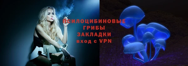 молекула духа Нефтегорск