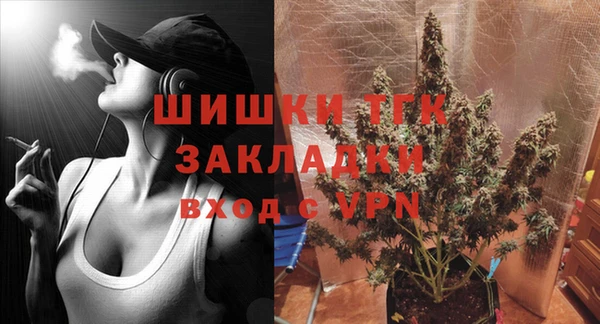 индика Нефтекумск