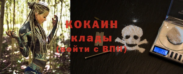 индика Нефтекумск