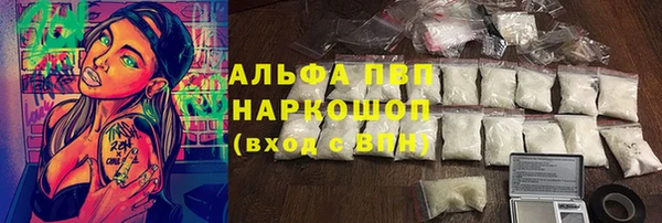 индика Нефтекумск