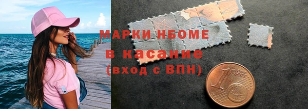 индика Нефтекумск