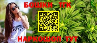 гашик Бийск