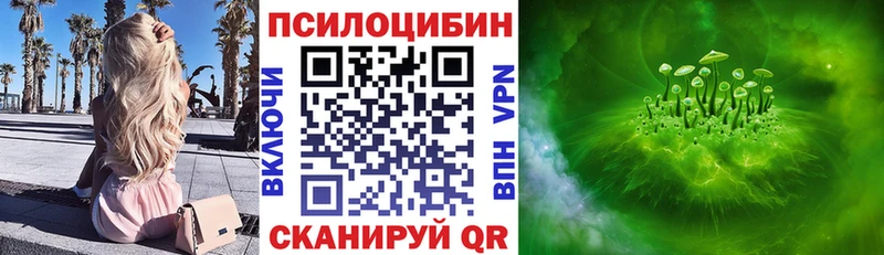 где купить наркоту  Богородицк  Галлюциногенные грибы Psilocybe 