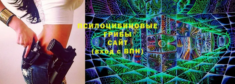 Галлюциногенные грибы Psilocybine cubensis Богородицк