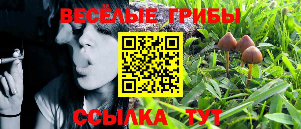 продажа наркотиков  Галлюциногенные грибы ЛСД  Вход с VPN  Богородицк 